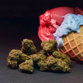 CBD-Blüten und Eis der Sorte Gelato.