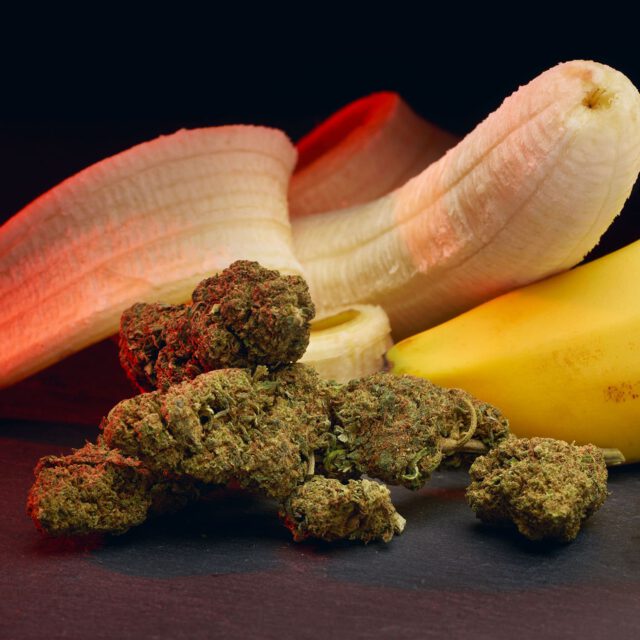 Banana CBD-Blüten von HANFmate mit Bananen.