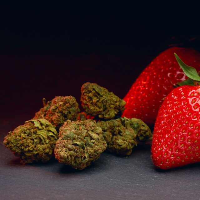 Strawberry CBD-Blüten von HANFmate mit Erdbeeren.