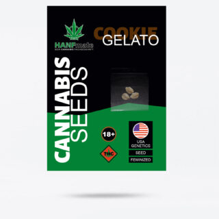 Cookies Gelato