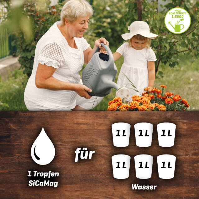 Plant BoOom SiCaMag BoOom 10 ml der 3-in-1 Pflanzenbooster mit Silizium, Kalzium & Magnesium – Bild 3