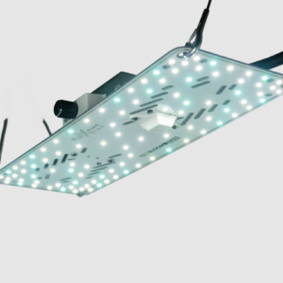 FLUXshield Habibi