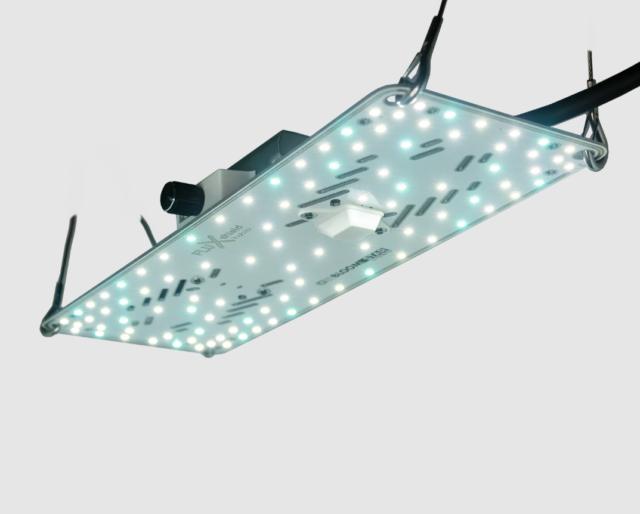 FLUXshield Habibi